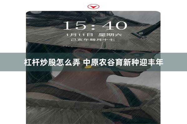 杠杆炒股怎么弄 中原农谷育新种迎丰年