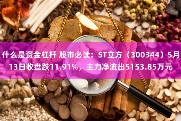 什么是资金杠杆 股市必读：ST立方（300344）5月13日收盘跌11.91%，主力净流出5153.85万元