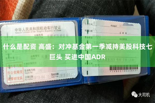 什么是配资 高盛：对冲基金第一季减持美股科技七巨头 买进中国ADR