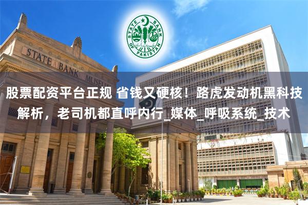 股票配资平台正规 省钱又硬核！路虎发动机黑科技解析，老司机都直呼内行_媒体_呼吸系统_技术