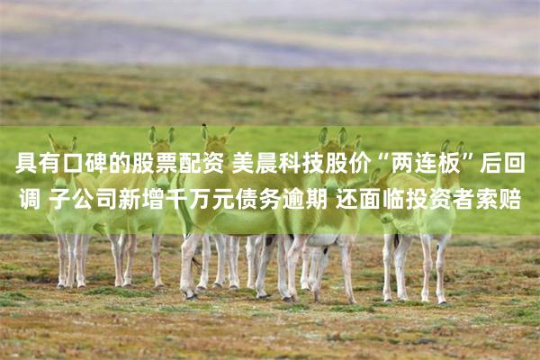 具有口碑的股票配资 美晨科技股价“两连板”后回调 子公司新增千万元债务逾期 还面临投资者索赔