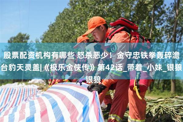 股票配资机构有哪些 怒杀恶少！金守忠铁拳轰碎澹台豹天灵盖|《极乐金侠传》第42话_带着_小妹_银狼